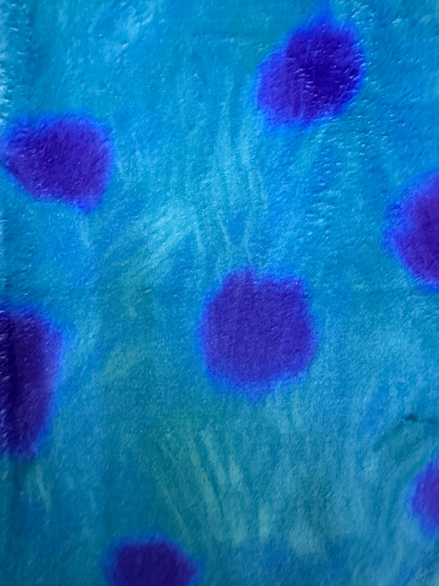 Sully Monstruos Pijama Azul Duo de pijama afelpada