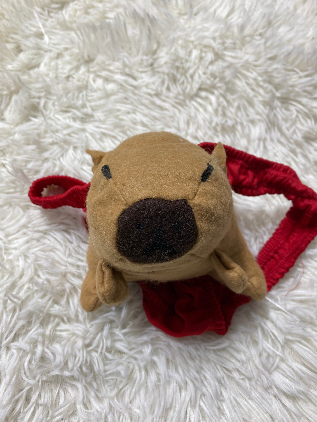 Tanga de broma de capibara