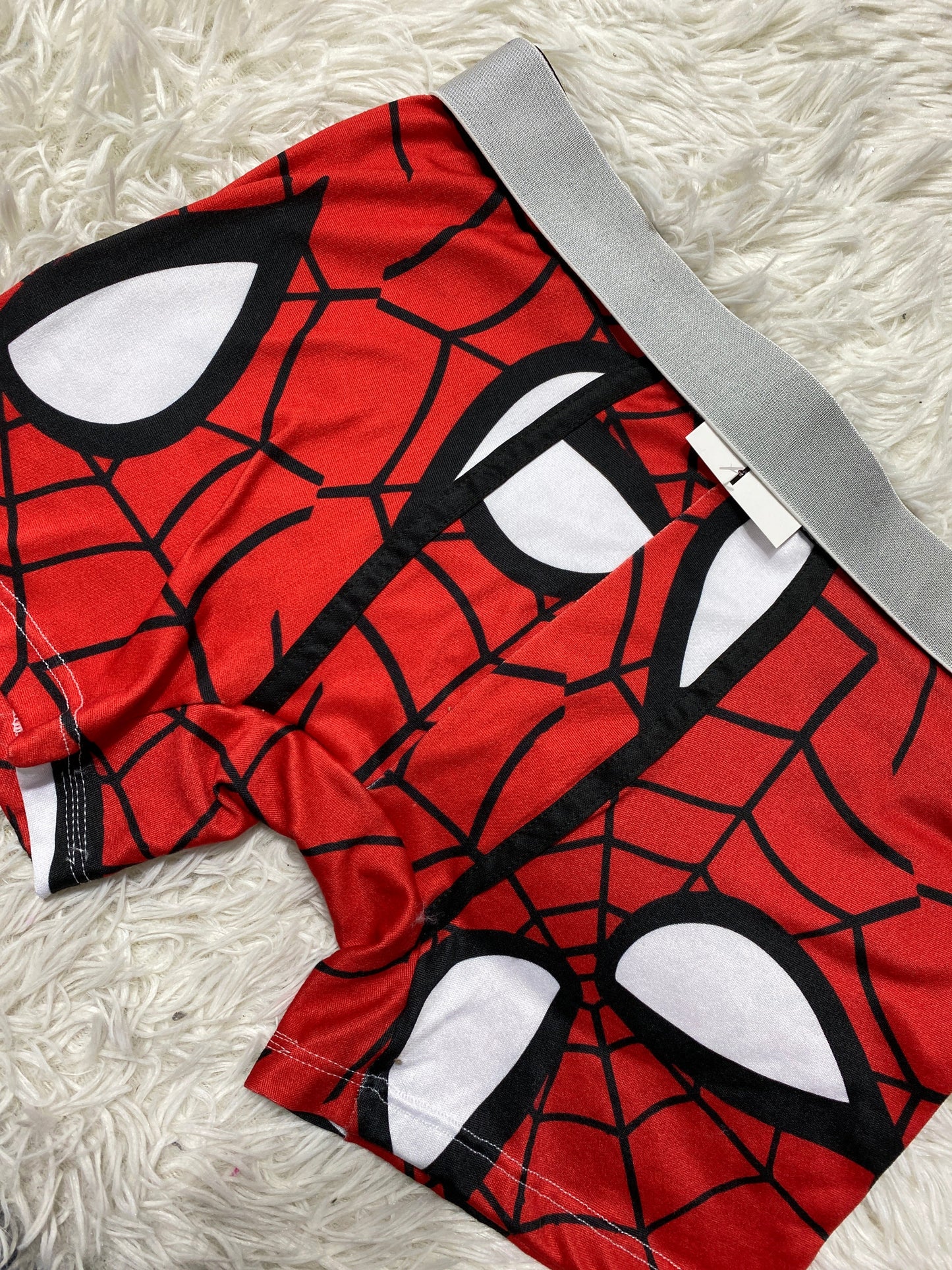 Boxer de caballero spider man
