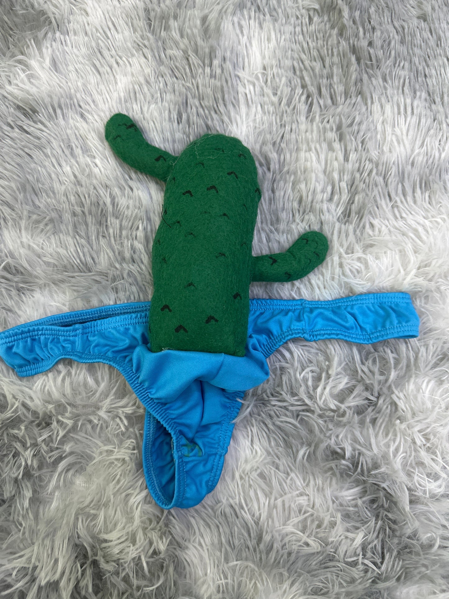 Cactus Estrella Tanga De Broma